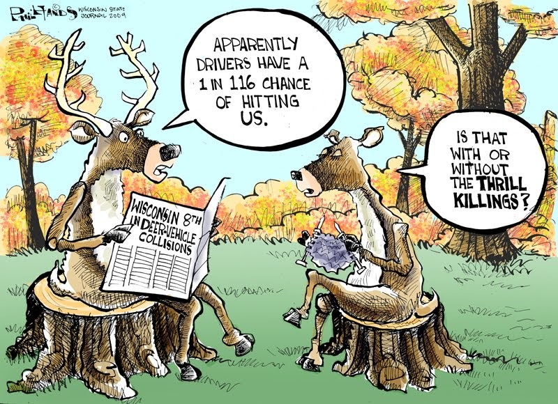 Madtoons Deer Collisions