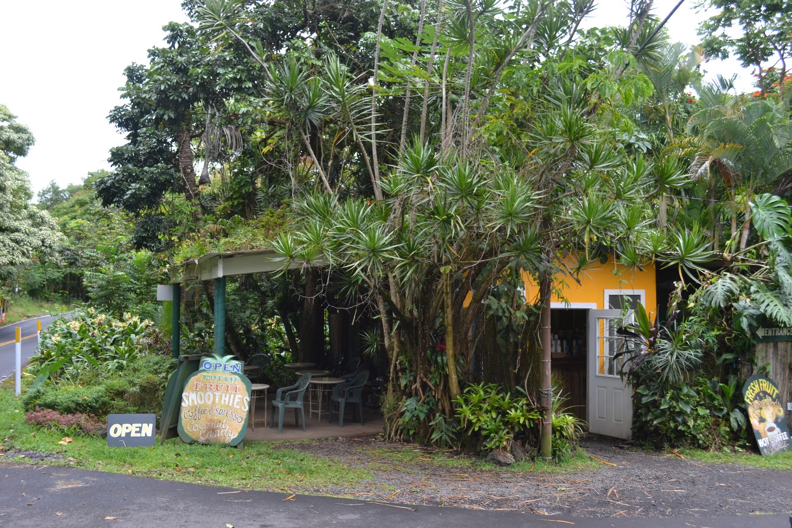 Follow The Light A Witness In Paradise, And My Confession