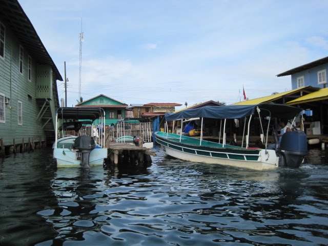 [IMG_2071.JPG]