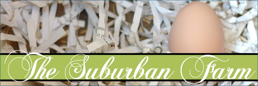 The Suburban Farm