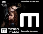 Metroflog