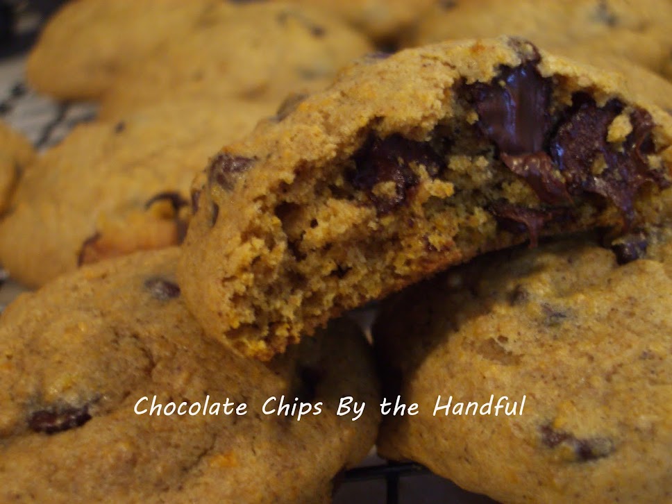 Chocolate Chips by the Handful