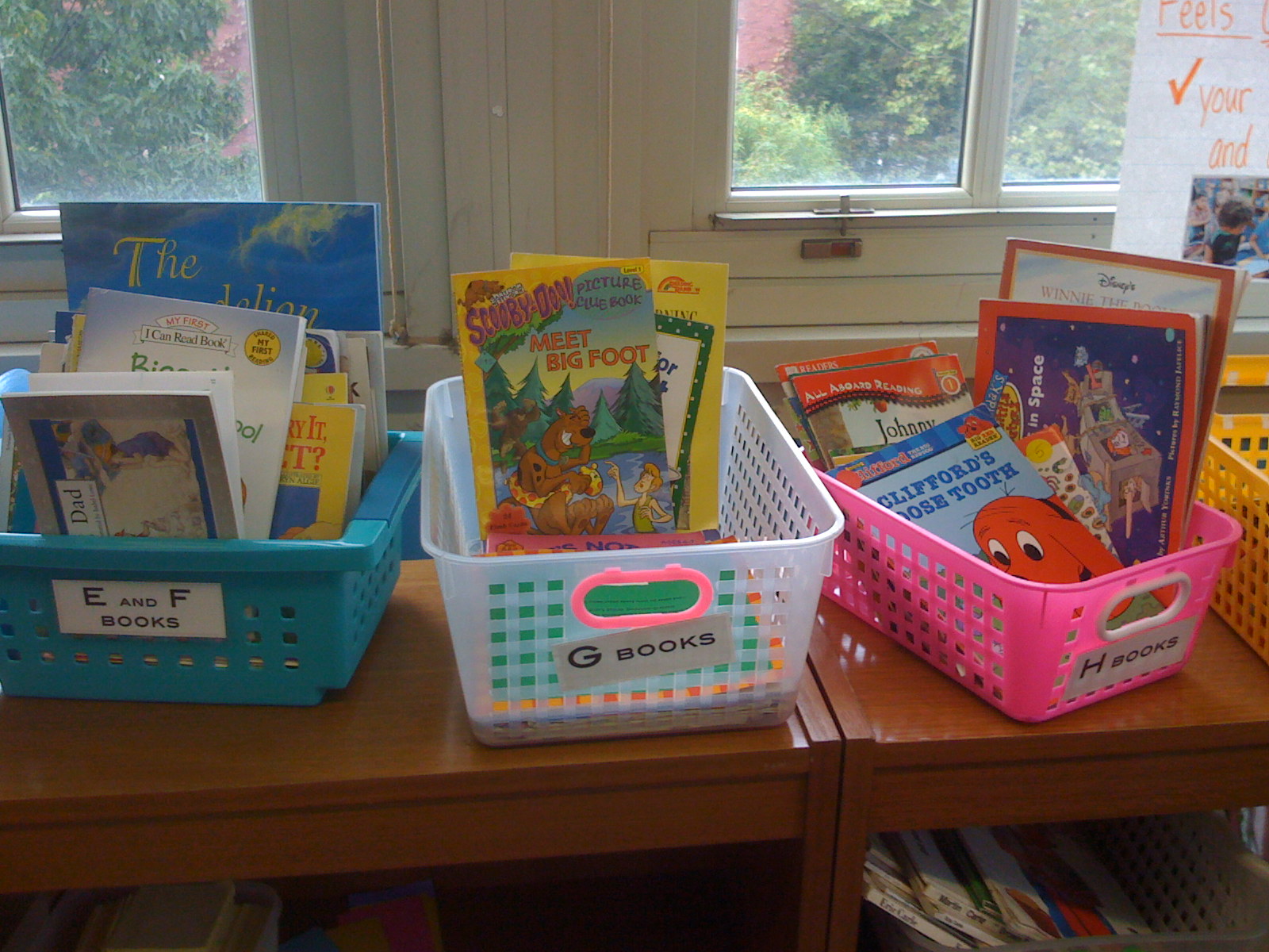 Read. Write. Play. Classroom Library Photos