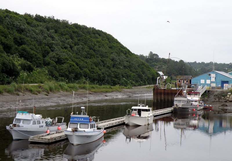 Alaska Adventure 2010 July 2010