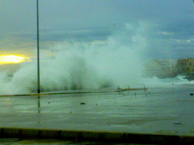 [DSC07700.JPG]
