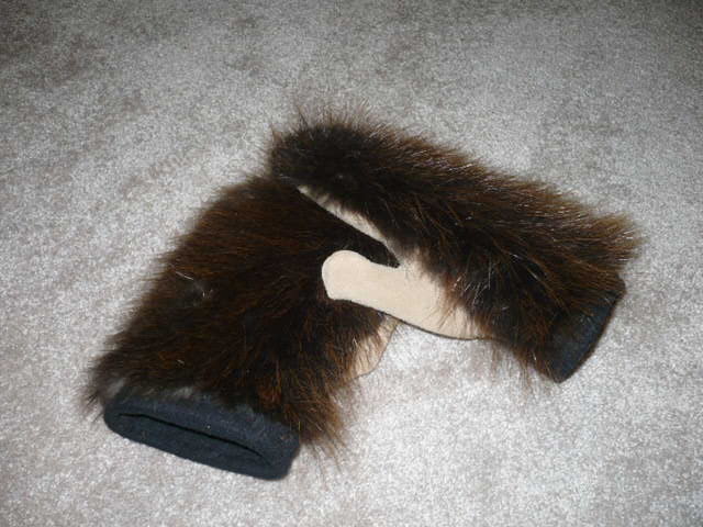 [beaver-m.JPG]
