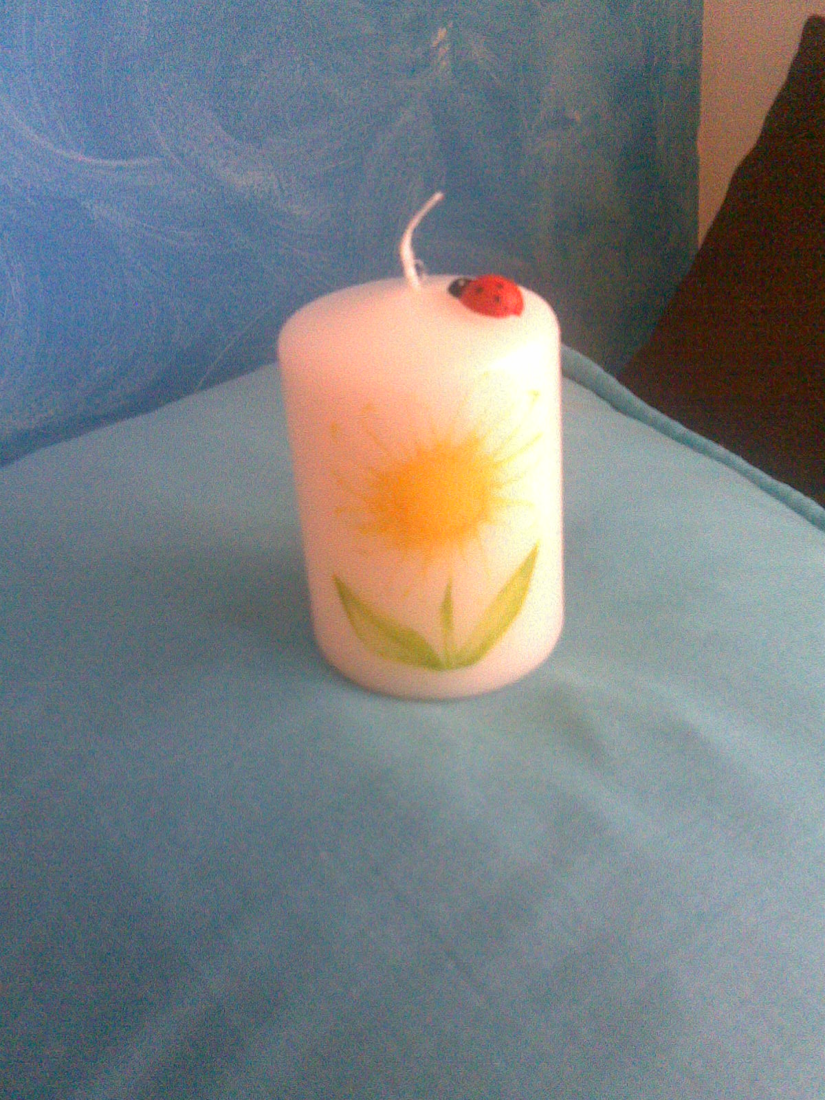 [08052008.jpg]
