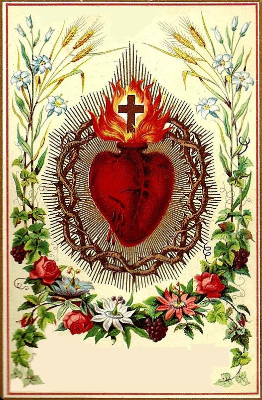 [Sacred+Heart.jpg]
