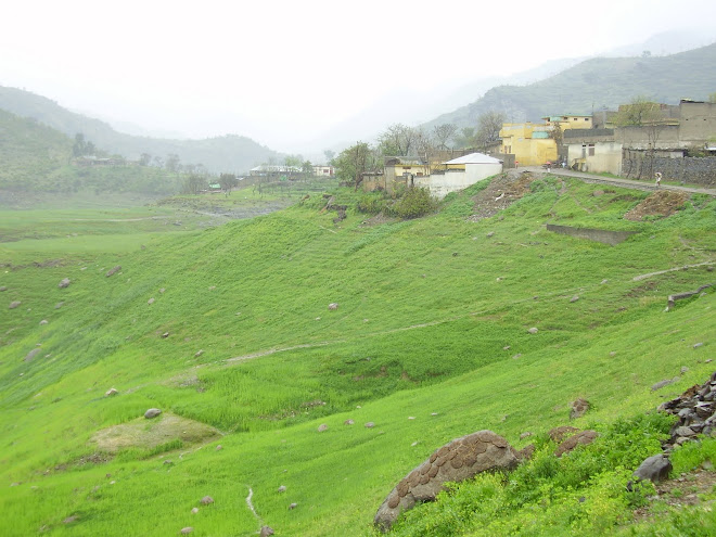 Mansehra darband