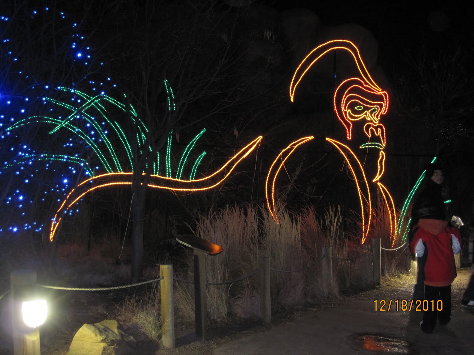 Fun with the Fenton's Denver Zoo Lights