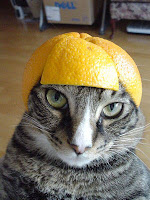 dejta 18 åring tjäna