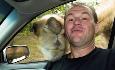 dejtingsajt användarnamn