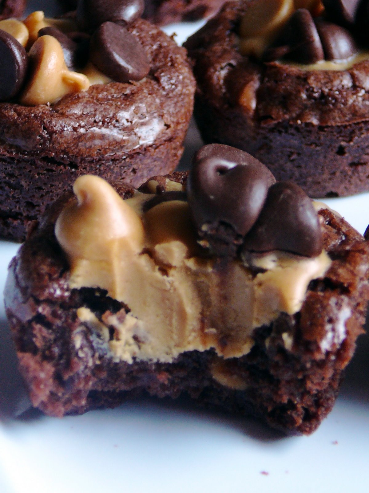 [Chocolate+Peanut+Butter+Cup+Brownies+from+Baked+Perfection.jpg]
