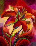 [Kdaylily.jpg]