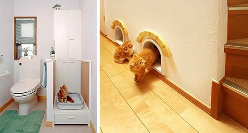 [cat-home2.jpg]