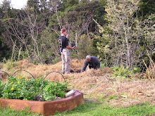 Matua Stan Kingi and Jeff Condell from Ireland Planting Totara
