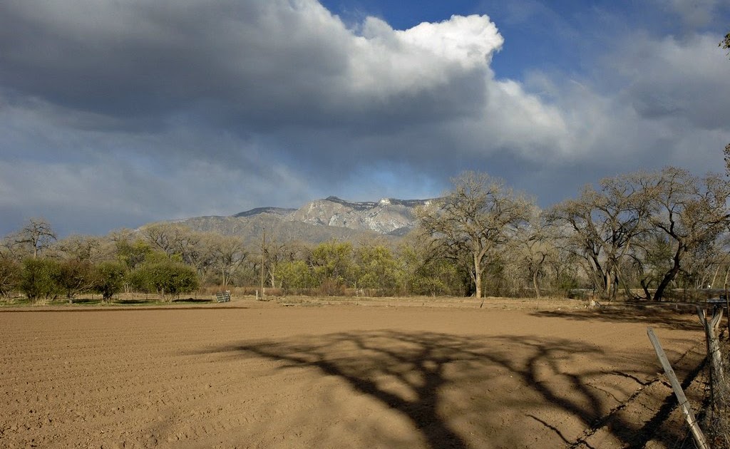 Radzfoto Blog Ploughed field, Corrales, New Mexico