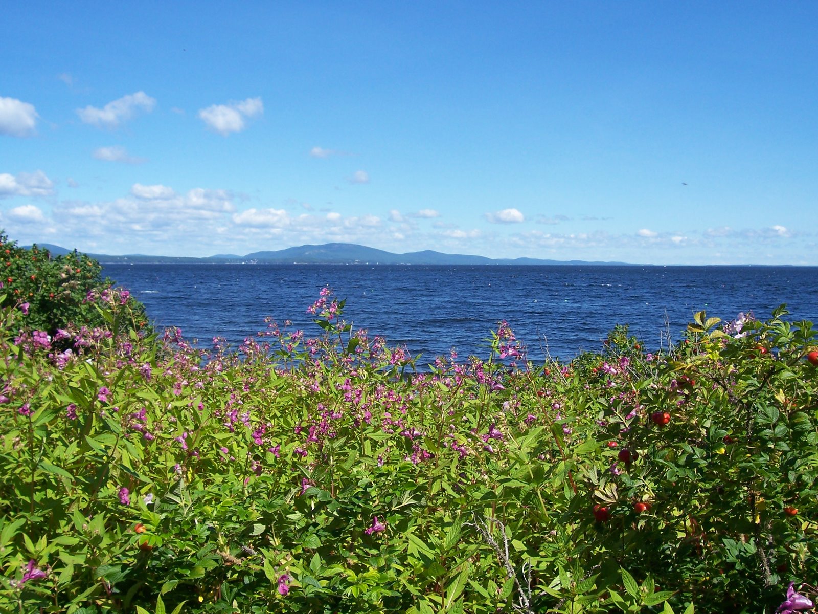 [Ireland+to+maine+761.jpg]