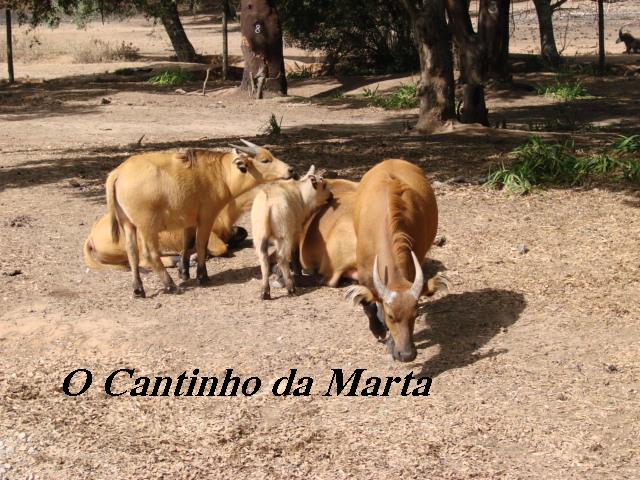 [DSC06506.JPG]