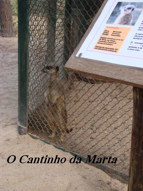 [DSC06458.JPG]