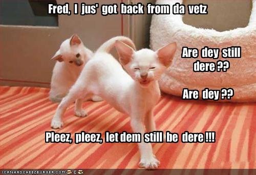 fred goes to the vet