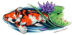 [koi+fish+drawings.bmp]