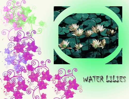 [water-lilies.gif]