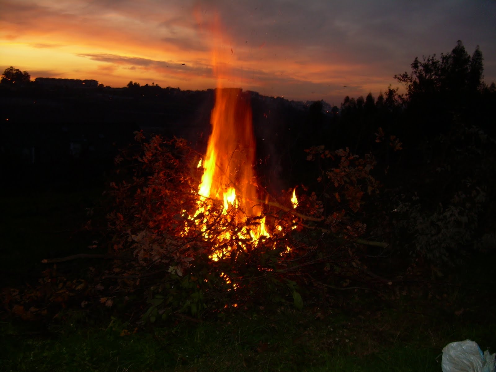 [2+getting+dark.JPG]