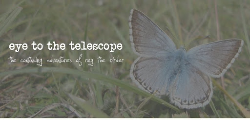 Eye To The Telescope
