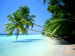 [praia]