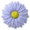 [Divers_15.gif]