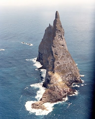 Endangered Strangers: Lord Howe Island Stick Insect