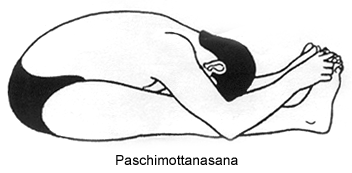[paschimottanasana.gif]