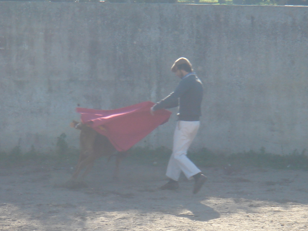 [DSC07503.JPG]