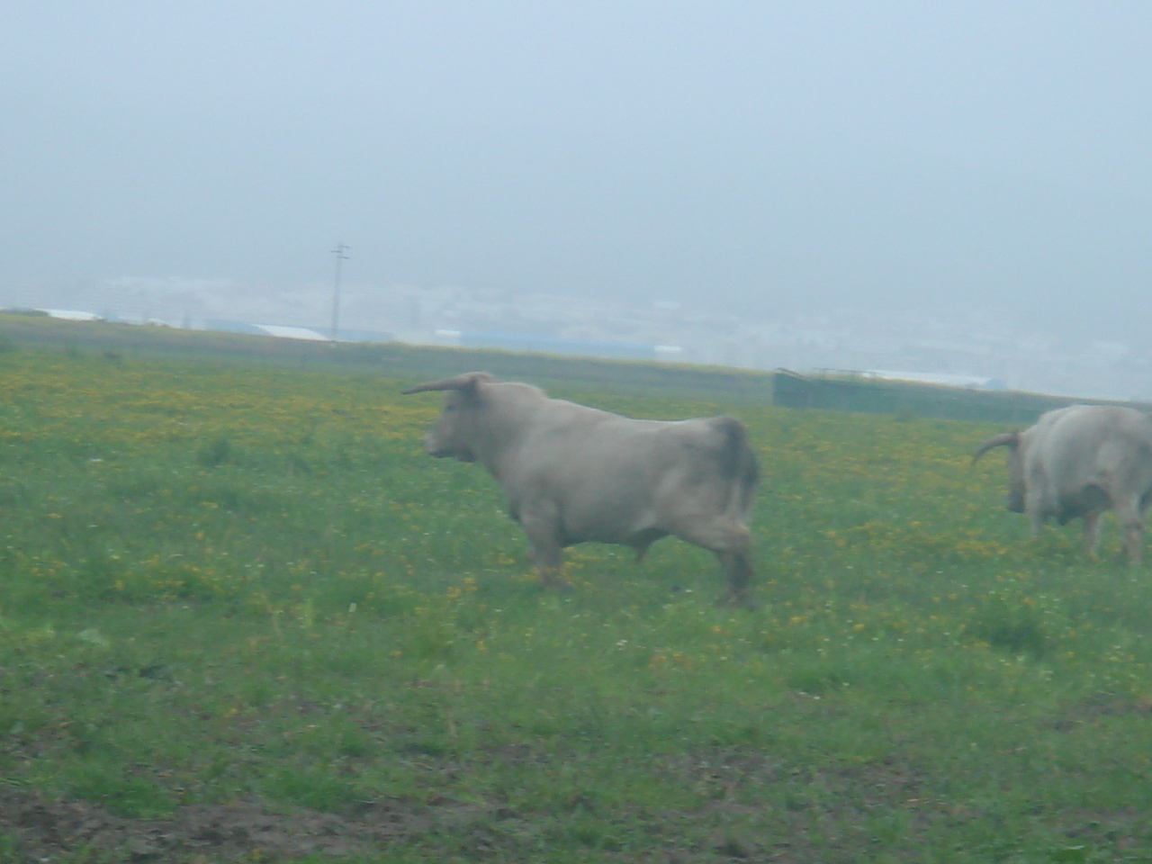 [DSC08594.JPG]