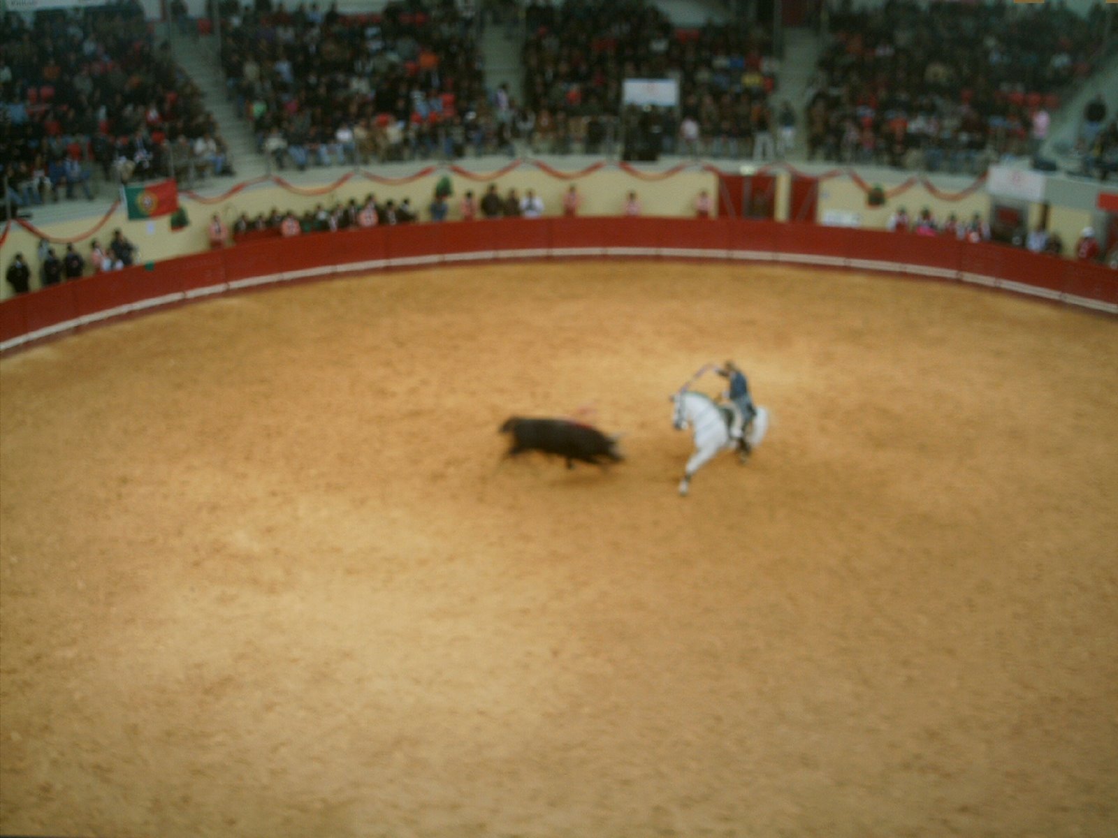 [IMAG0147.JPG]