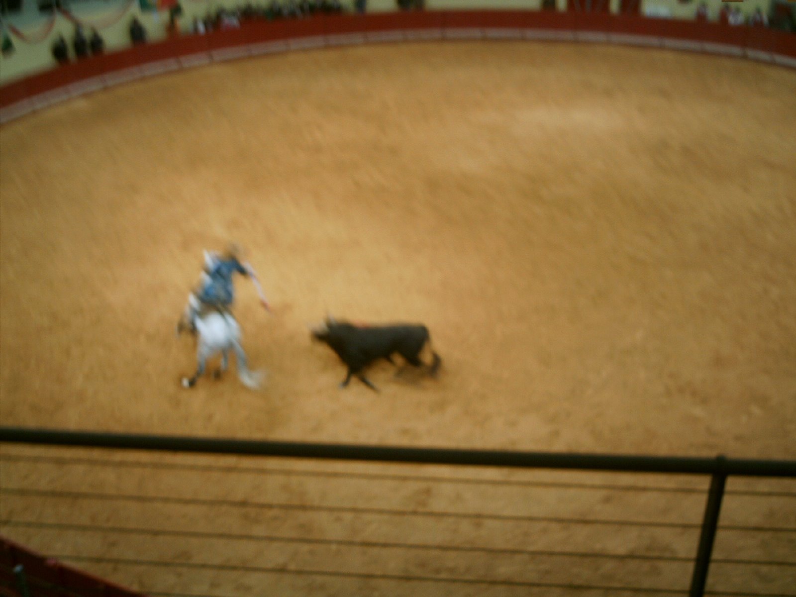 [IMAG0135.JPG]