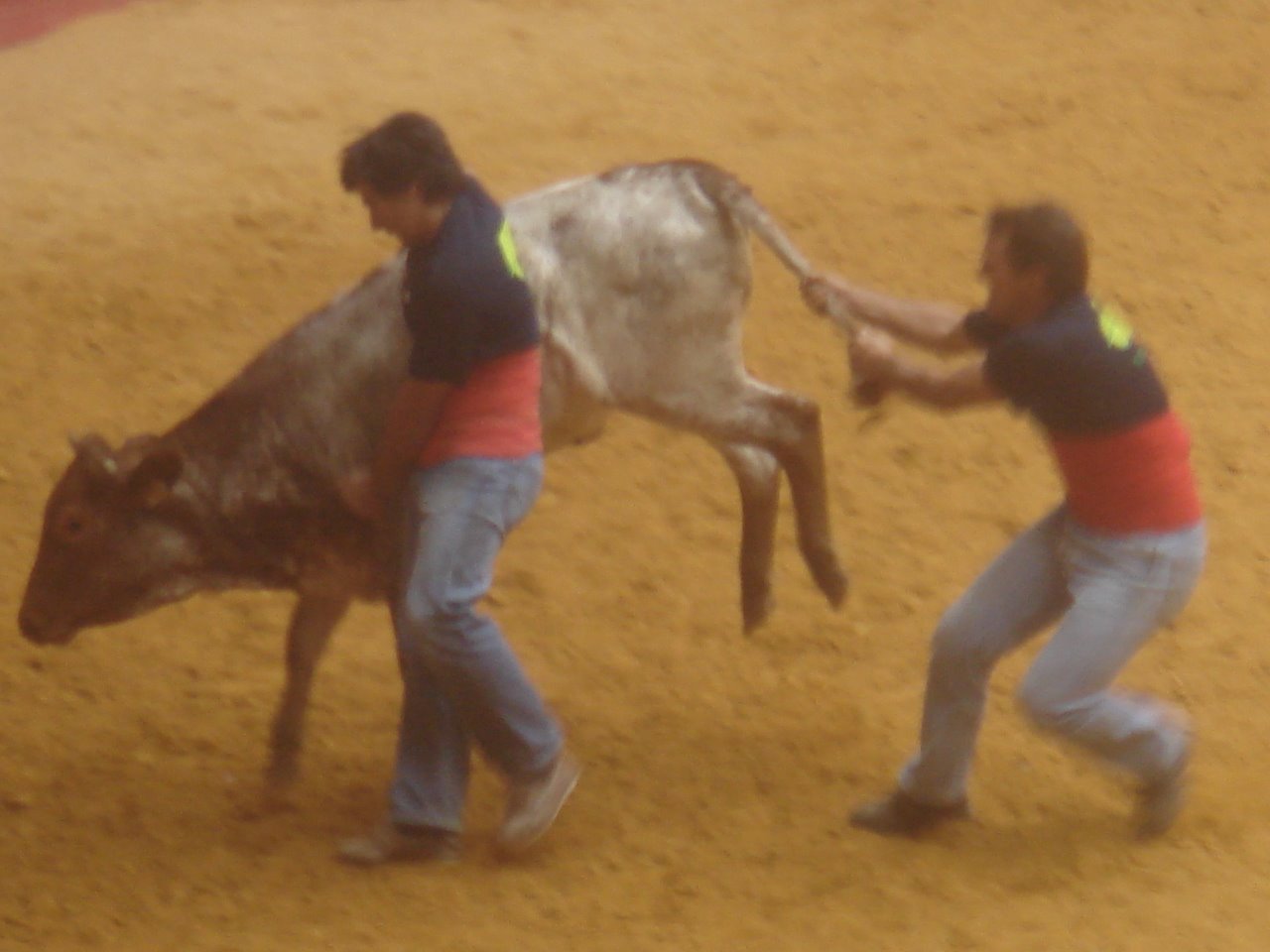 [DSC08439.JPG]