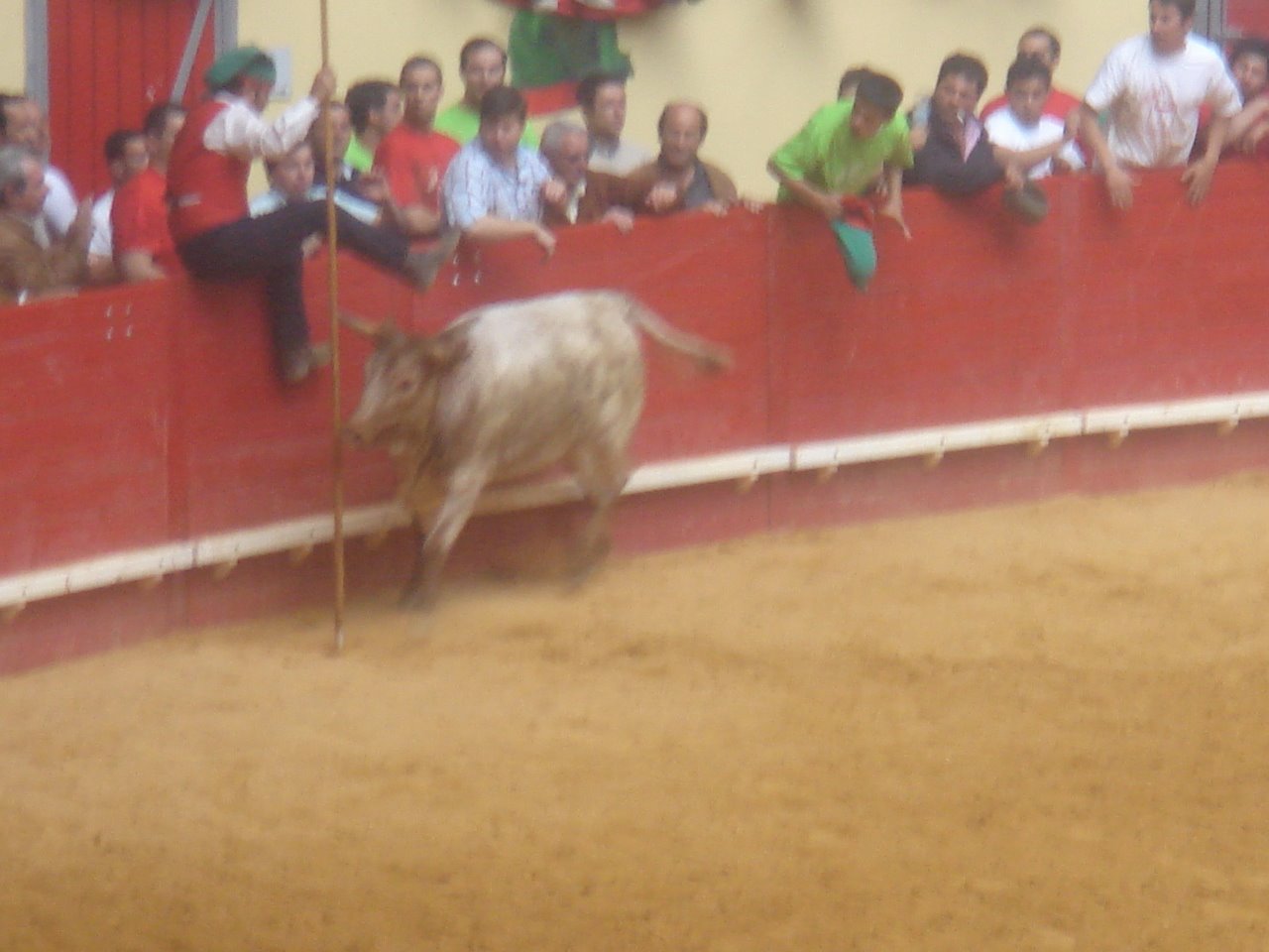 [DSC08409.JPG]