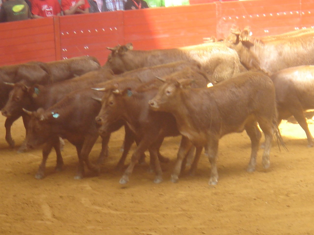 [DSC08098.JPG]