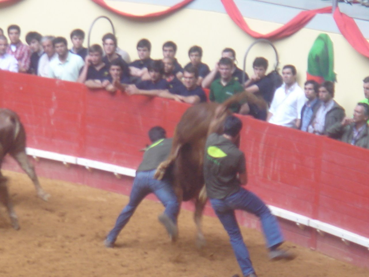 [DSC08083.JPG]