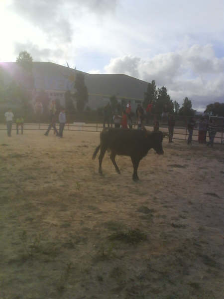 [DSC00686.JPG]