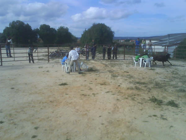 [DSC00670.JPG]