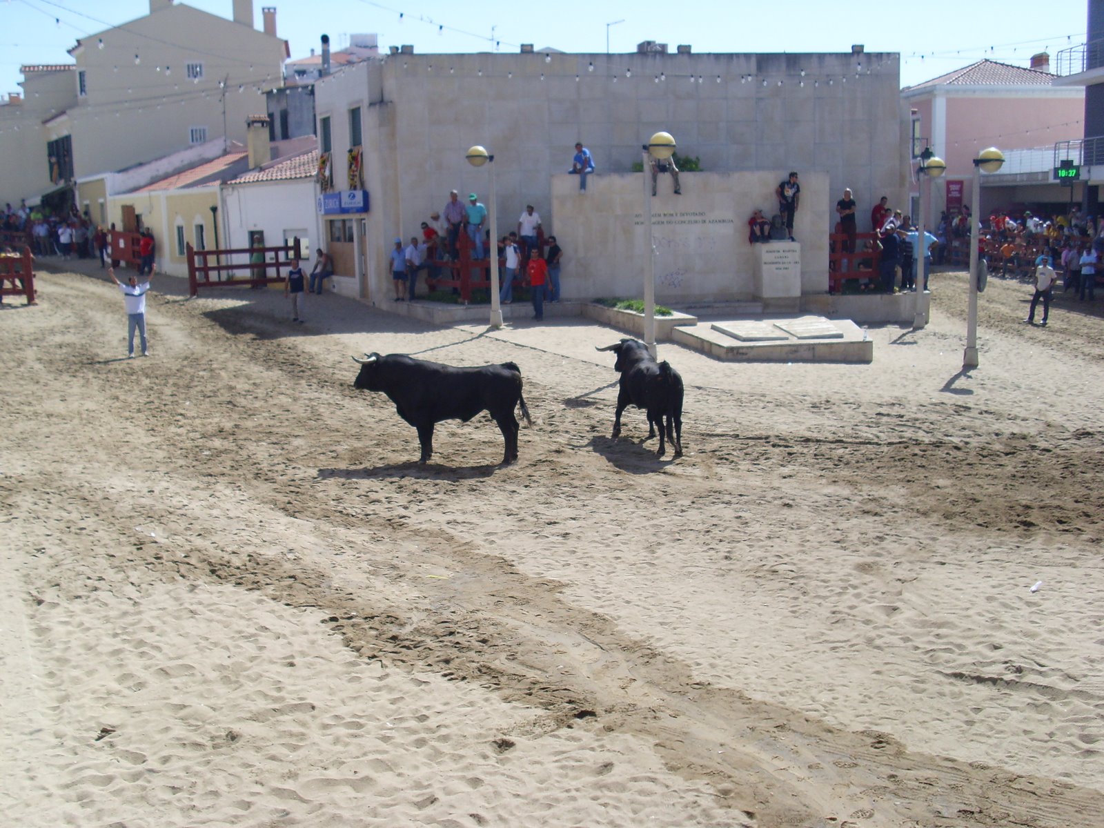 [IMG_0441.JPG]