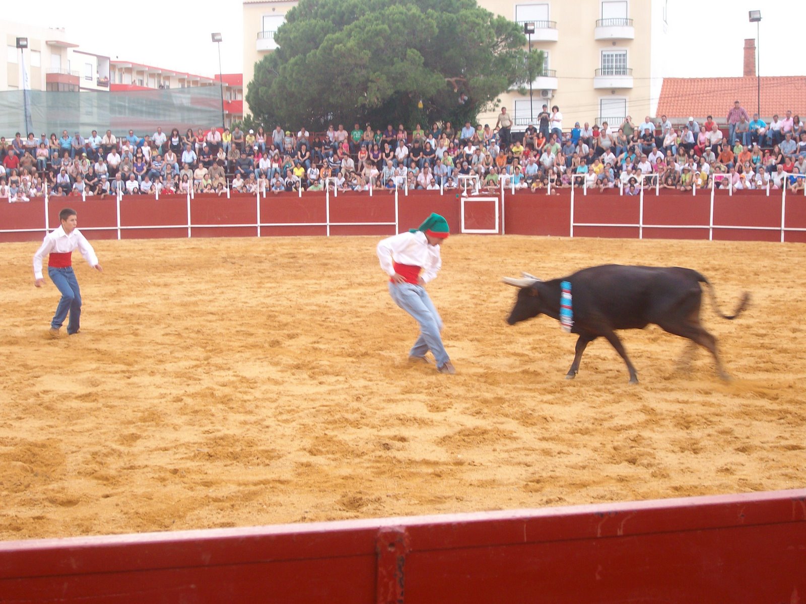 [SANY2917.JPG]