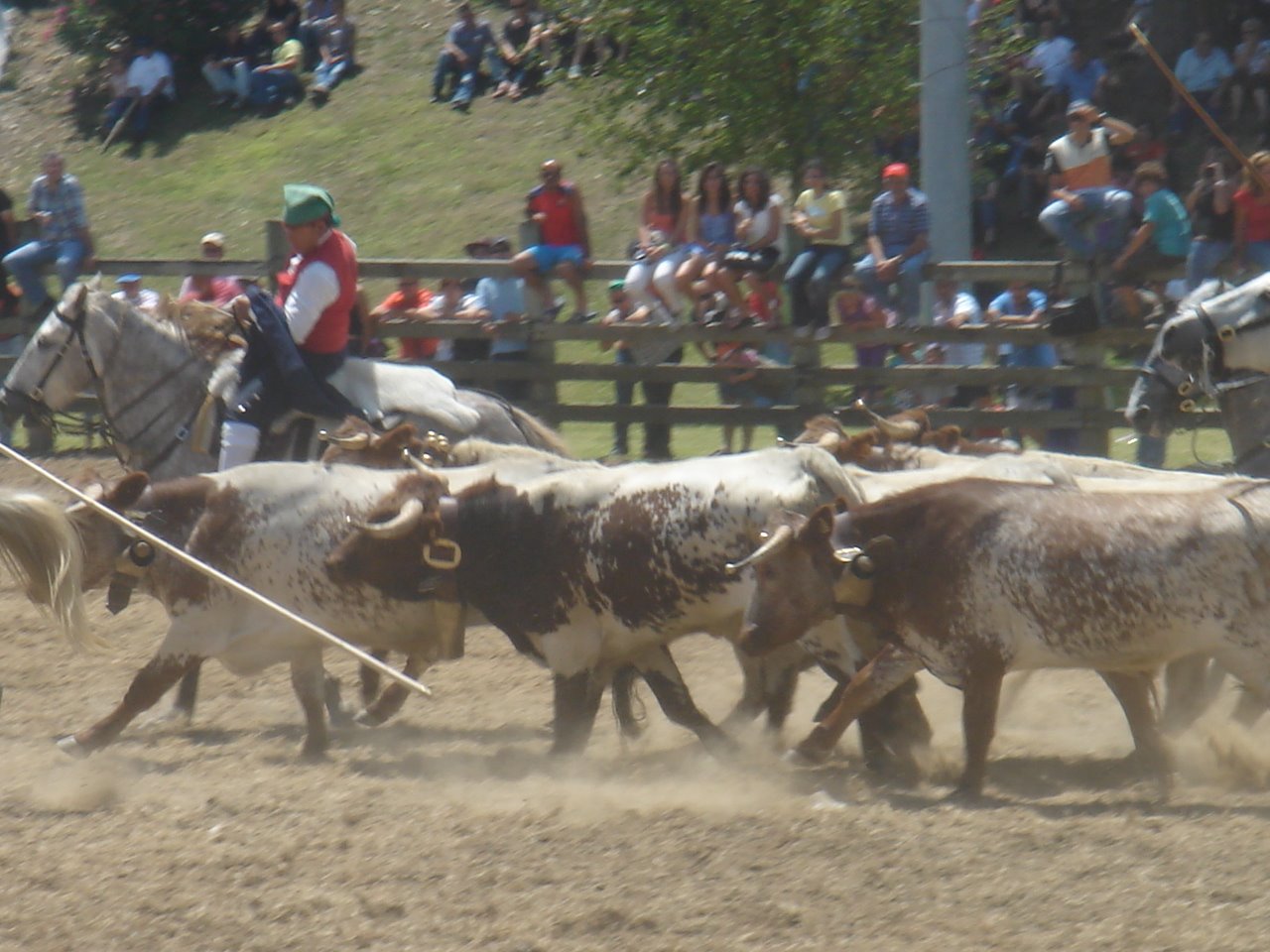 [DSC09146.JPG]