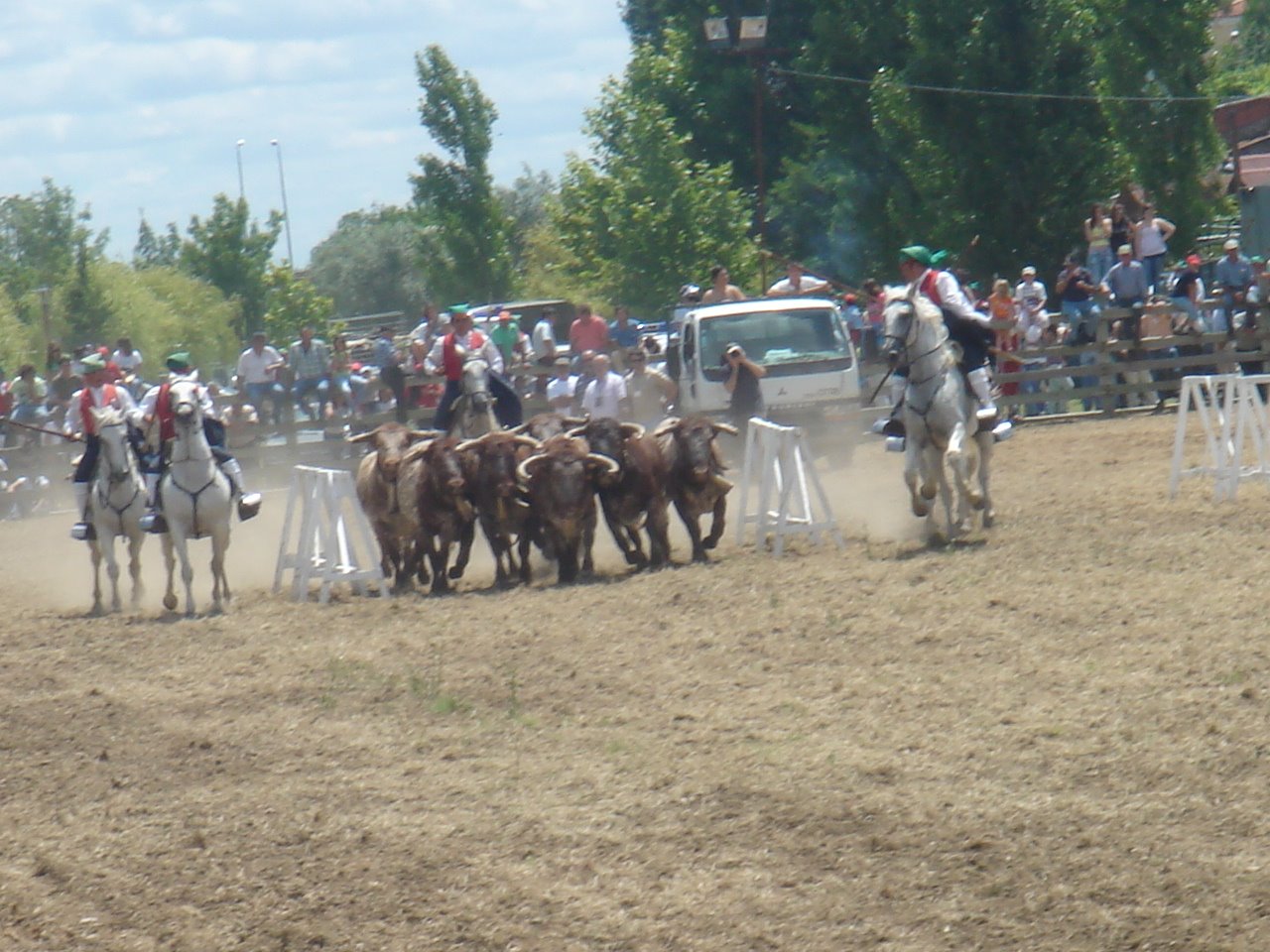 [DSC09130.JPG]