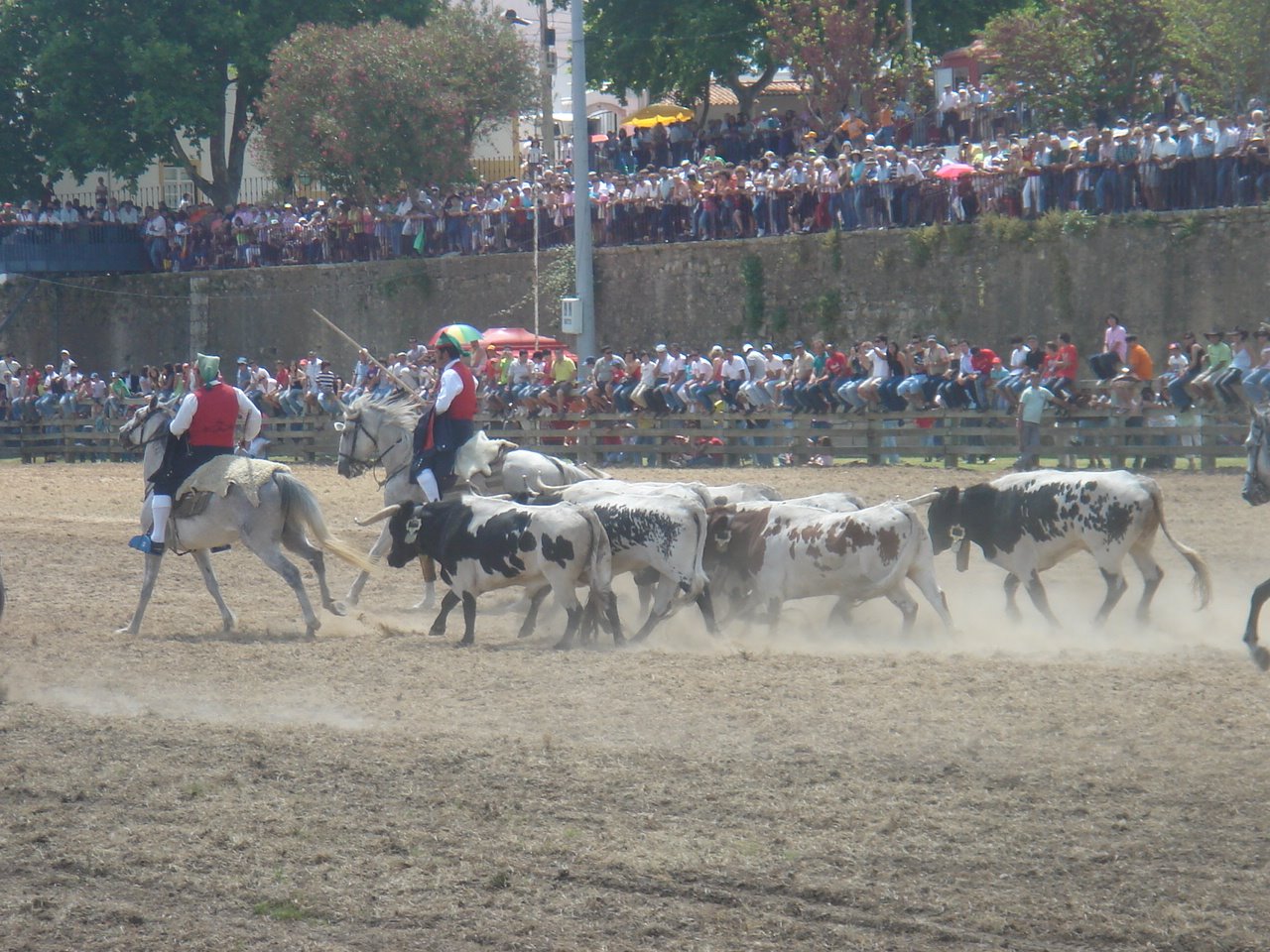 [DSC09112.JPG]