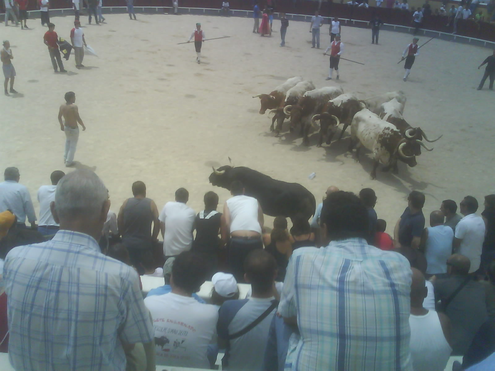 [DSC01037.JPG]