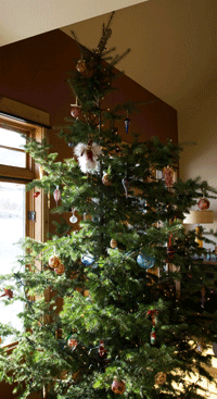 [xmastree.gif]